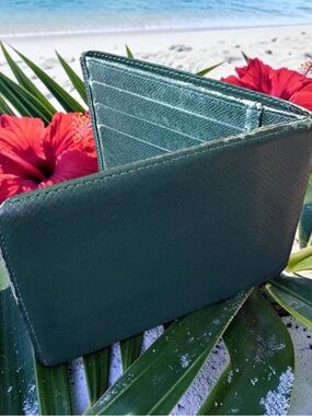 Louis Vuitton Dark Green vintage Taiga Leather  Wallet - Men